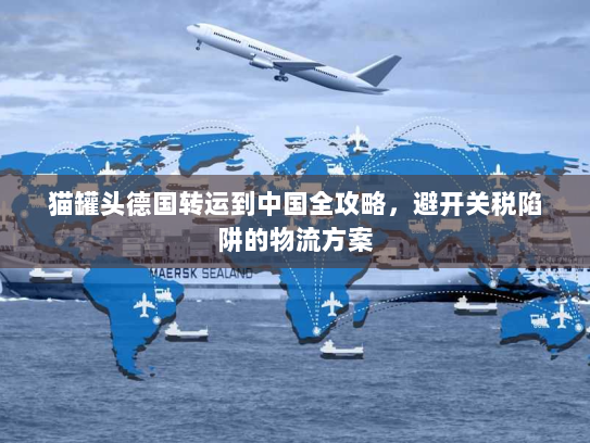 猫罐头德国转运到中国全攻略，避开关税陷阱的物流方案