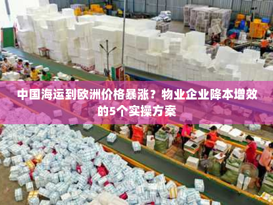 中国海运到欧洲价格暴涨?物业企业降本增效的5个实操方案 中国海运到欧洲价格暴涨?物业企业降本增效的5个实操方案