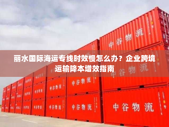 丽水国际海运专线时效慢怎么办？企业跨境运输降本增效指南