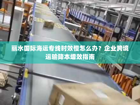 丽水国际海运专线时效慢怎么办?企业跨境运输降本增效指南 丽水国际海运专线时效慢怎么办?企业跨境运输降本增效指南