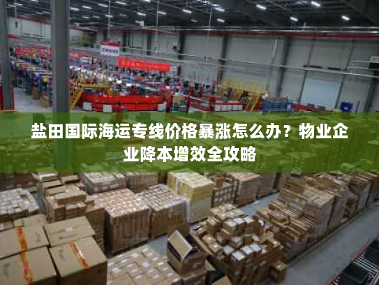 盐田国际海运专线价格暴涨怎么办?物业企业降本增效全攻略 盐田国际海运专线价格暴涨怎么办?物业企业降本增效全攻略