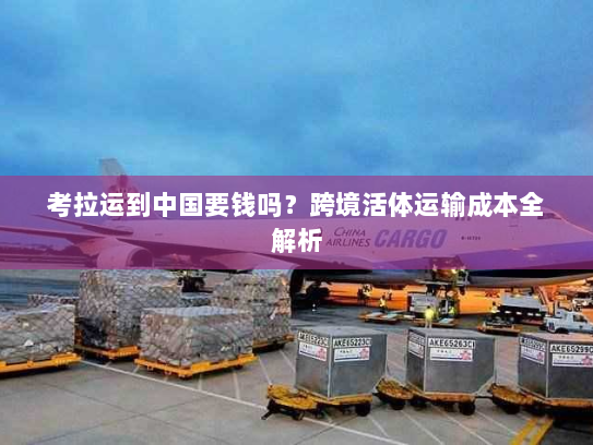 考拉运到中国要钱吗？跨境活体运输成本全解析