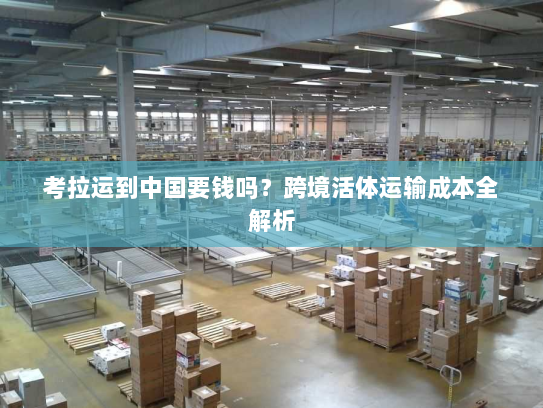 考拉运到中国要钱吗？跨境活体运输成本全解析