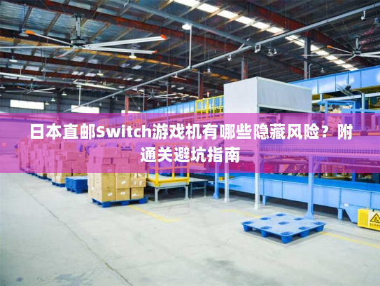 日本直邮Switch游戏机有哪些隐藏风险？附通关避坑指南