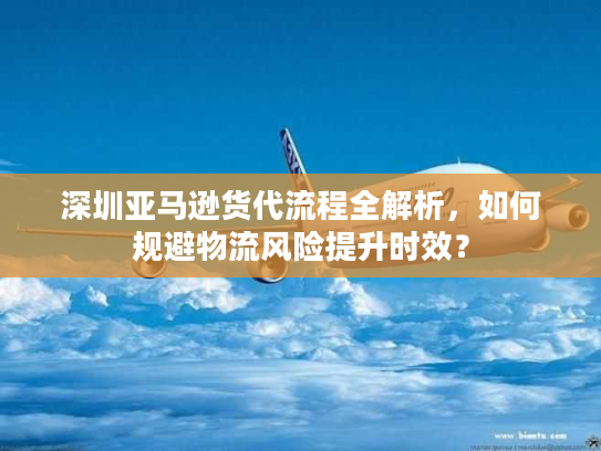 深圳亚马逊货代流程全解析，如何规避物流风险提升时效？