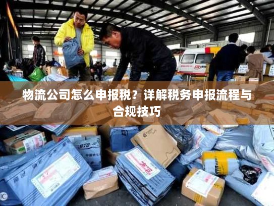 物流公司怎么申报税？详解税务申报流程与合规技巧