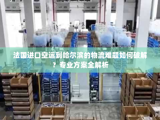 法国进口空运到哈尔滨的物流难题如何破解？专业方案全解析