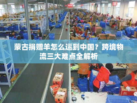 蒙古捐赠羊怎么运到中国?跨境物流三大难点全解析 蒙古捐赠羊怎么运到中国?跨境物流三大难点全解析