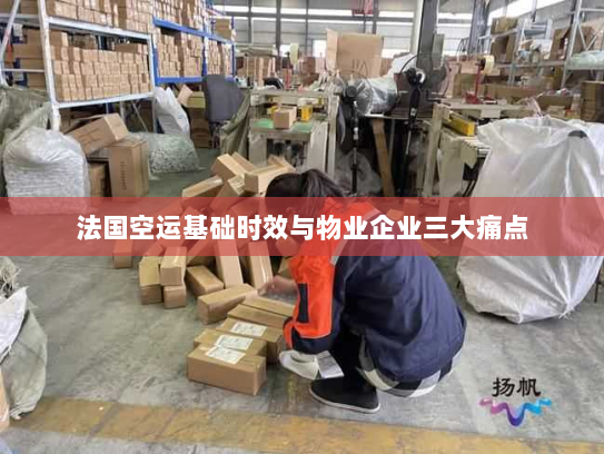 法国空运基础时效与物业企业三大痛点 法国空运基础时效与物业企业三大痛点