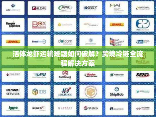 活体龙虾运输难题如何破解？跨境冷链全流程解决方案