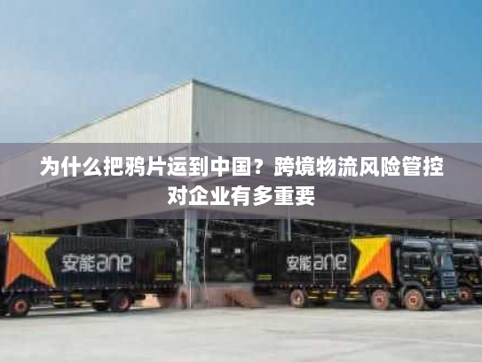为什么把鸦片运到中国？跨境物流风险管控对企业有多重要