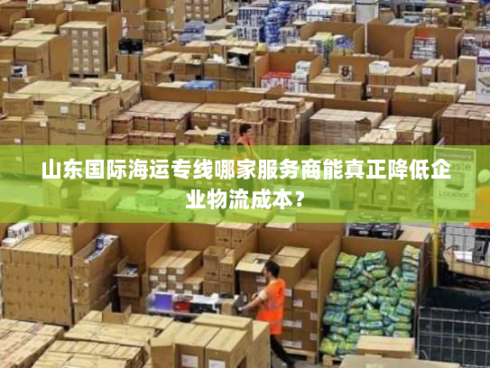 山东国际海运专线哪家服务商能真正降低企业物流成本? 山东国际海运专线哪家服务商能真正降低企业物流成本?