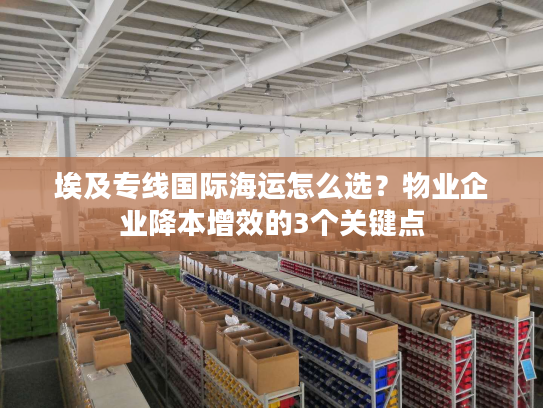 埃及专线国际海运怎么选？物业企业降本增效的3个关键点