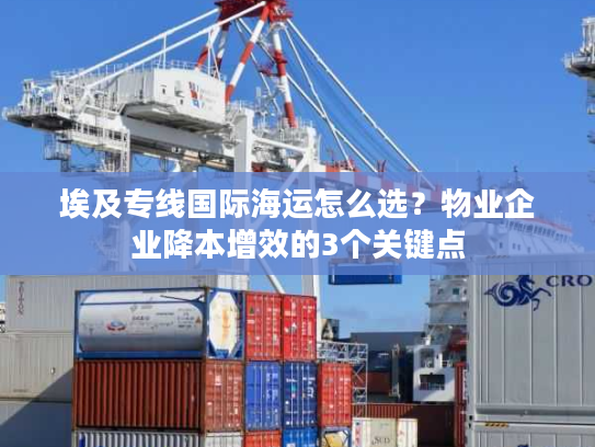 埃及专线国际海运怎么选？物业企业降本增效的3个关键点