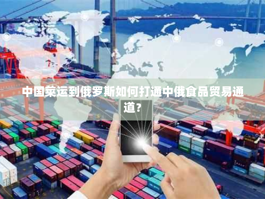 中国菜运到俄罗斯如何打通中俄食品贸易通道? 中国菜运到俄罗斯如何打通中俄食品贸易通道?