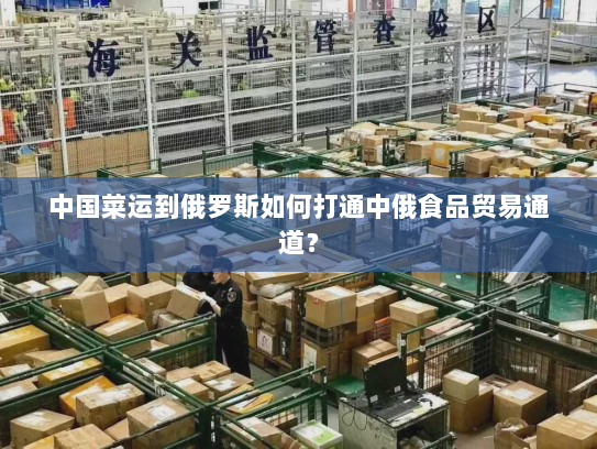 中国菜运到俄罗斯如何打通中俄食品贸易通道? 中国菜运到俄罗斯如何打通中俄食品贸易通道?