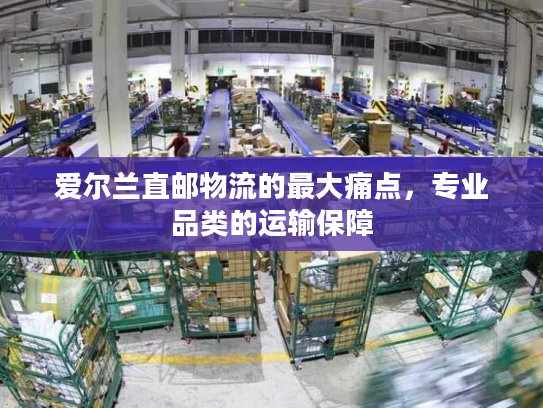 爱尔兰直邮物流的最大痛点,专业品类的运输保障 爱尔兰直邮物流的最大痛点,专业品类的运输保障