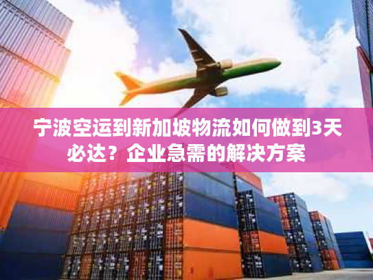 宁波空运到新加坡物流如何做到3天必达？企业急需的解决方案