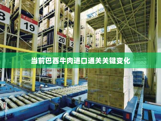 当前巴西牛肉进口通关关键变化 当前巴西牛肉进口通关关键变化