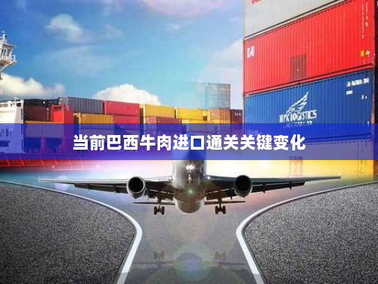 当前巴西牛肉进口通关关键变化 当前巴西牛肉进口通关关键变化