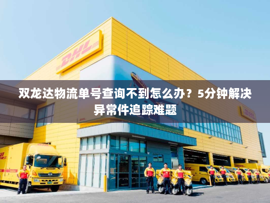 双龙达物流单号查询不到怎么办?5分钟解决异常件追踪难题 双龙达物流单号查询不到怎么办?5分钟解决异常件追踪难题