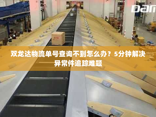 双龙达物流单号查询不到怎么办?5分钟解决异常件追踪难题 双龙达物流单号查询不到怎么办?5分钟解决异常件追踪难题