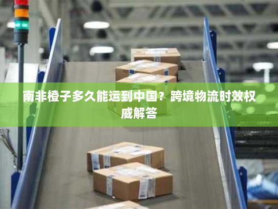 南非橙子多久能运到中国?跨境物流时效权威解答 南非橙子多久能运到中国?跨境物流时效权威解答