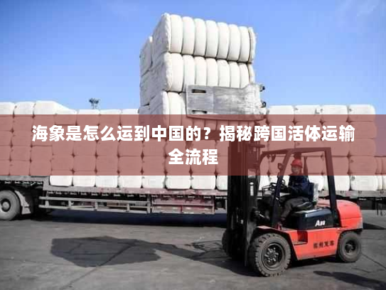 海象是怎么运到中国的？揭秘跨国活体运输全流程