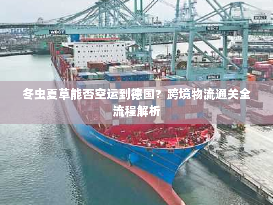 冬虫夏草能否空运到德国？跨境物流通关全流程解析