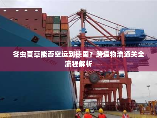 冬虫夏草能否空运到德国？跨境物流通关全流程解析