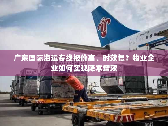 广东国际海运专线报价高、时效慢？物业企业如何实现降本增效