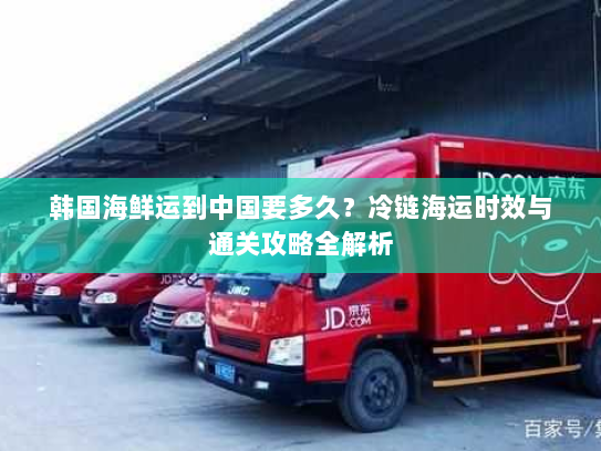 韩国海鲜运到中国要多久?冷链海运时效与通关攻略全解析 韩国海鲜运到中国要多久?冷链海运时效与通关攻略全解析