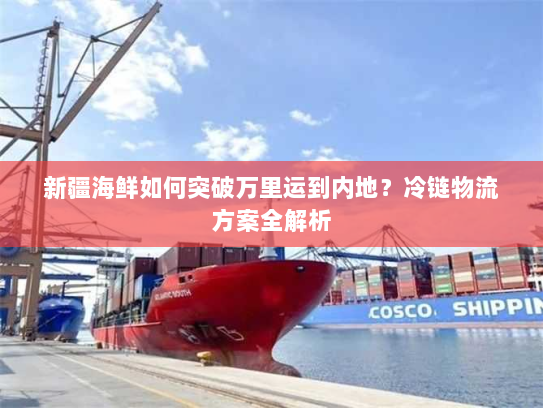 新疆海鲜如何突破万里运到内地？冷链物流方案全解析