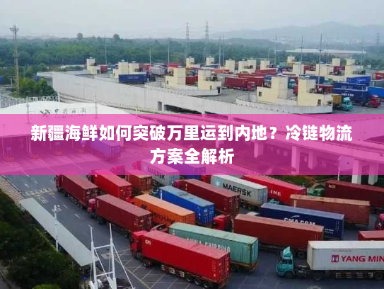 新疆海鲜如何突破万里运到内地？冷链物流方案全解析