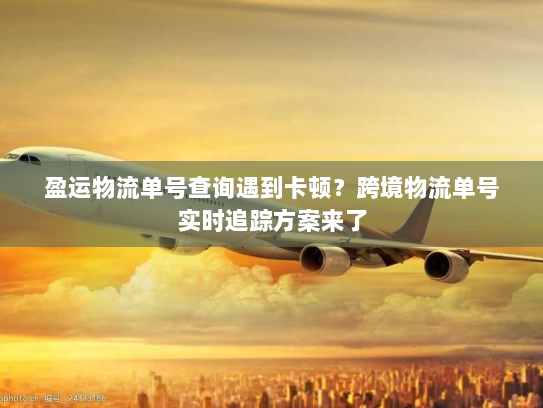 盈运物流单号查询遇到卡顿?跨境物流单号实时追踪方案来了 盈运物流单号查询遇到卡顿?跨境物流单号实时追踪方案来了