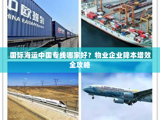国际海运中国专线哪家好？物业企业降本增效全攻略