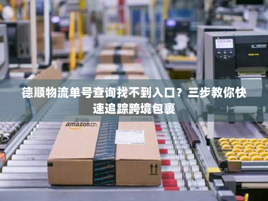 德顺物流单号查询找不到入口？三步教你快速追踪跨境包裹