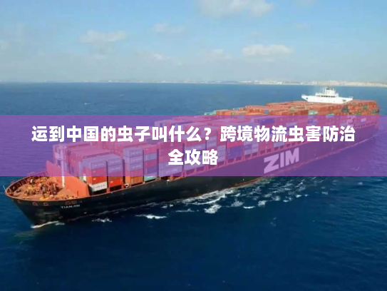 运到中国的虫子叫什么？跨境物流虫害防治全攻略