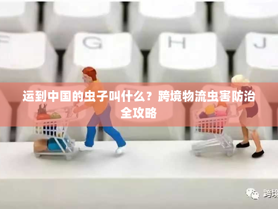 运到中国的虫子叫什么？跨境物流虫害防治全攻略