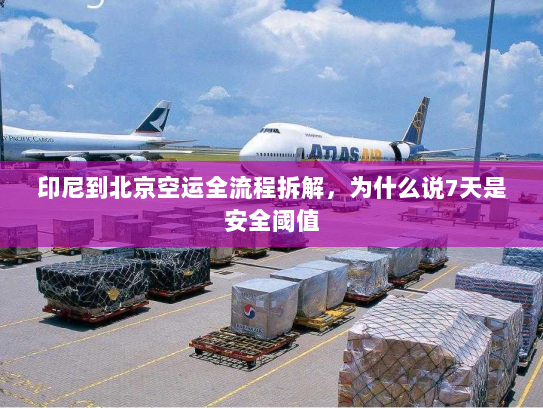 印尼到北京空运全流程拆解,为什么说7天是安全阈值 印尼到北京空运全流程拆解,为什么说7天是安全阈值