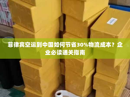 菲律宾空运到中国如何节省30%物流成本？企业必读通关指南