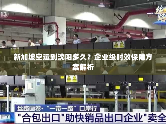 新加坡空运到沈阳多久?企业级时效保障方案解析 新加坡空运到沈阳多久?企业级时效保障方案解析
