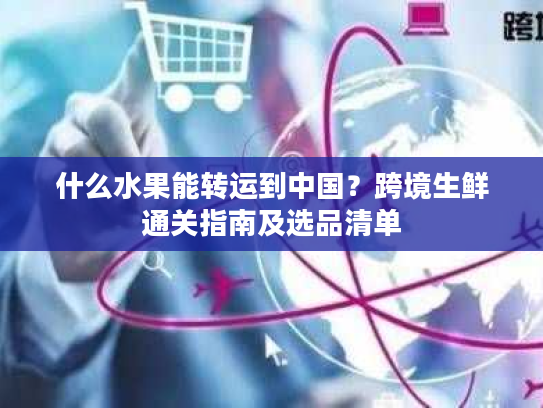 什么水果能转运到中国？跨境生鲜通关指南及选品清单