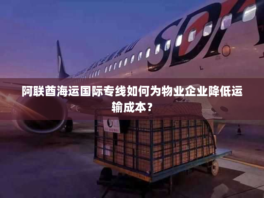 阿联酋海运国际专线如何为物业企业降低运输成本? 阿联酋海运国际专线如何为物业企业降低运输成本?