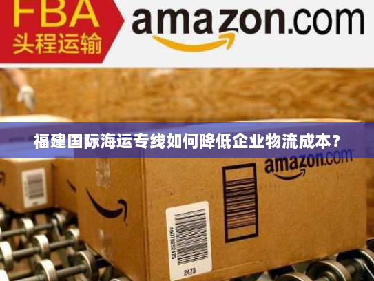 福建国际海运专线如何降低企业物流成本？