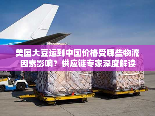 美国大豆运到中国价格受哪些物流因素影响？供应链专家深度解读