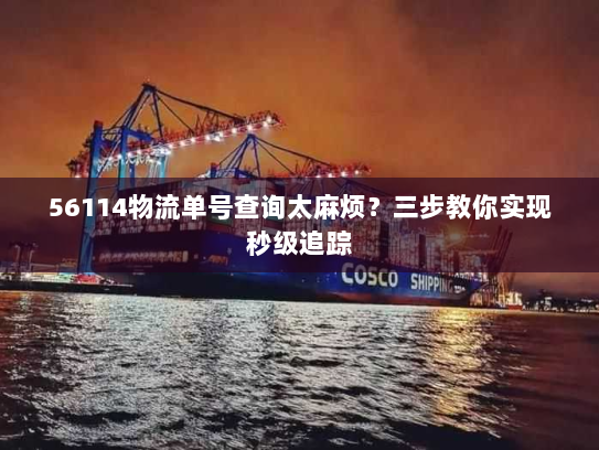 56114物流单号查询太麻烦?三步教你实现秒级追踪 56114物流单号查询太麻烦?三步教你实现秒级追踪