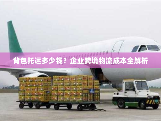 背包托运多少钱?企业跨境物流成本全解析 背包托运多少钱?企业跨境物流成本全解析