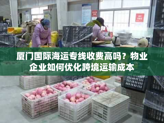 厦门国际海运专线收费高吗？物业企业如何优化跨境运输成本
