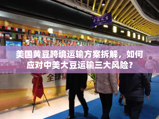 美国黄豆跨境运输方案拆解，如何应对中美大豆运输三大风险？